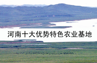 8月19日，河南省政府發(fā)布了關(guān)于深入推進農(nóng)業(yè)供給側(cè)結(jié)構(gòu)性改革 大力發(fā)展優(yōu)勢特色農(nóng)業(yè)的意見