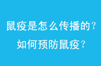 鼠疫是怎么傳播的？如何預(yù)防鼠疫？